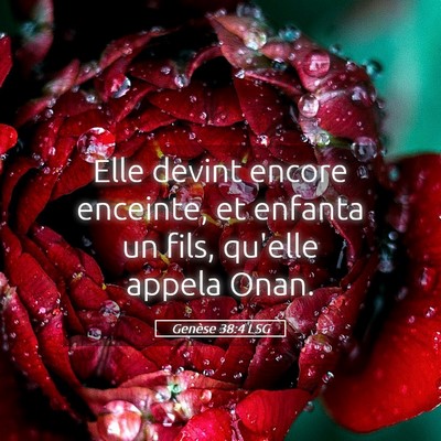 Picture 05 - Genèse 38:4 LSG - Elle devint encore enceinte, et enfanta un fils, - Bible Verse Picture