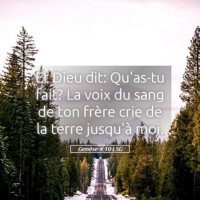 Picture 05 - Genèse 4:10 LSG - Et Dieu dit: Qu'as-tu fait? La voix du sang de - Bible Verse Picture