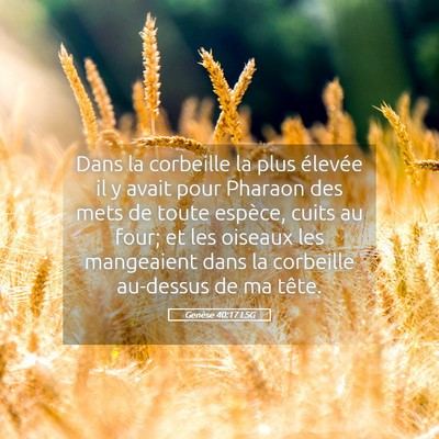 Picture 05 - Genèse 40:17 LSG - Dans la corbeille la plus élevée il y avait - Bible Verse Picture