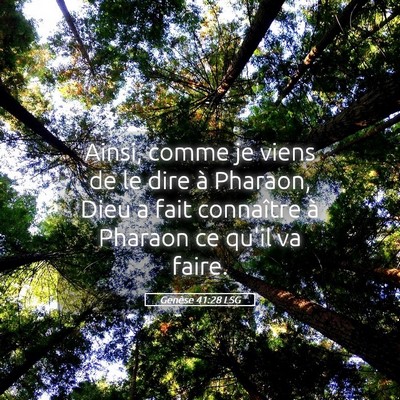 Picture 05 - Genèse 41:28 LSG - Ainsi, comme je viens de le dire à Pharaon, Dieu - Bible Verse Picture