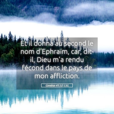 Picture 05 - Genèse 41:52 LSG - Et il donna au second le nom d'Ephraïm, car, - Bible Verse Picture
