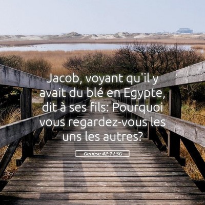 Picture 05 - Genèse 42:1 LSG - Jacob, voyant qu'il y avait du blé en Egypte, - Bible Verse Picture