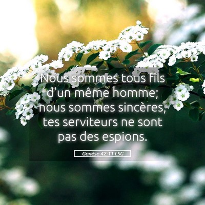 Picture 05 - Genèse 42:11 LSG - Nous sommes tous fils d'un même homme; nous - Bible Verse Picture