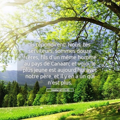 Picture 05 - Genèse 42:13 LSG - Ils répondirent: Nous, tes serviteurs, sommes - Bible Verse Picture