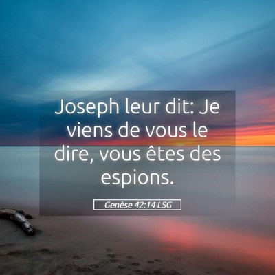 Picture 05 - Genèse 42:14 LSG - Joseph leur dit: Je viens de vous le dire, vous - Bible Verse Picture