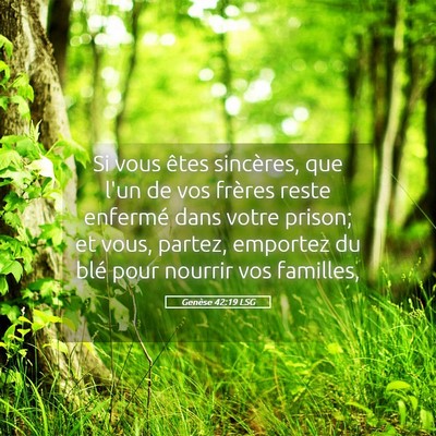 Picture 05 - Genèse 42:19 LSG - Si vous êtes sincères, que l'un de vos frères - Bible Verse Picture