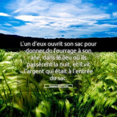 Picture 05 - Genèse 42:27 LSG - L'un d'eux ouvrit son sac pour donner du fourrage - Bible Verse Picture