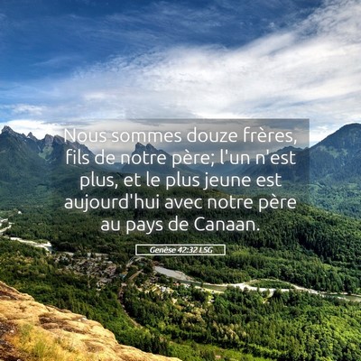 Picture 05 - Genèse 42:32 LSG - Nous sommes douze frères, fils de notre père; - Bible Verse Picture