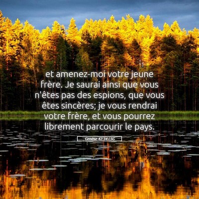 Picture 05 - Genèse 42:34 LSG - et amenez-moi votre jeune frère. Je saurai ainsi - Bible Verse Picture
