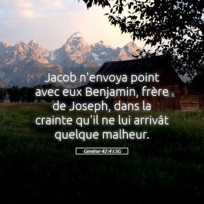 Picture 05 - Genèse 42:4 LSG - Jacob n'envoya point avec eux Benjamin, frère de - Bible Verse Picture