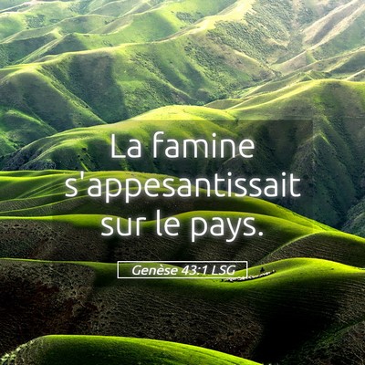 Picture 05 - Genèse 43:1 LSG - La famine s'appesantissait sur le - Bible Verse Picture