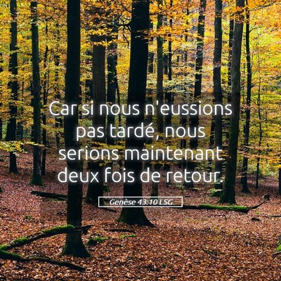 Picture 05 - Genèse 43:10 LSG - Car si nous n'eussions pas tardé, nous serions - Bible Verse Picture