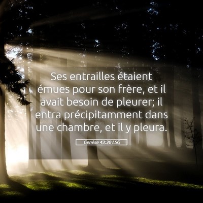 Picture 05 - Genèse 43:30 LSG - Ses entrailles étaient émues pour son frère, - Bible Verse Picture
