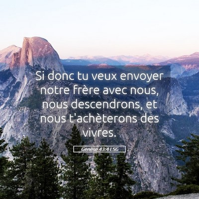 Picture 05 - Genèse 43:4 LSG - Si donc tu veux envoyer notre frère avec nous, - Bible Verse Picture