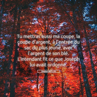 Picture 05 - Genèse 44:2 LSG - Tu mettras aussi ma coupe, la coupe d'argent, à - Bible Verse Picture