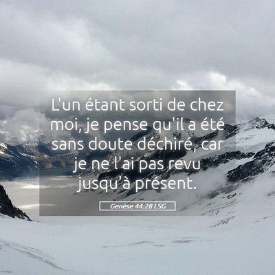 Picture 05 - Genèse 44:28 LSG - L'un étant sorti de chez moi, je pense qu'il a - Bible Verse Picture