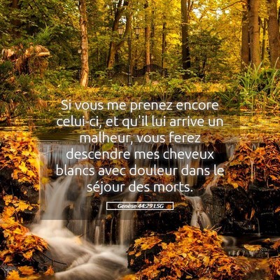 Picture 05 - Genèse 44:29 LSG - Si vous me prenez encore celui-ci, et qu'il lui - Bible Verse Picture