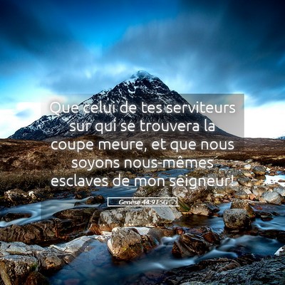 Picture 05 - Genèse 44:9 LSG - Que celui de tes serviteurs sur qui se trouvera - Bible Verse Picture