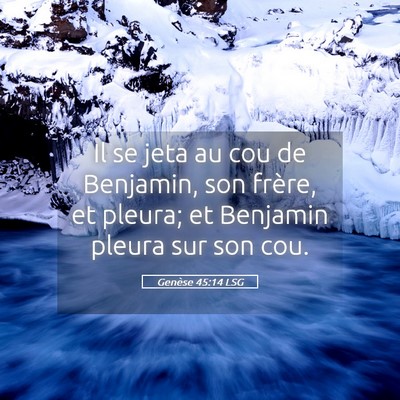 Picture 05 - Genèse 45:14 LSG - Il se jeta au cou de Benjamin, son frère, et - Bible Verse Picture
