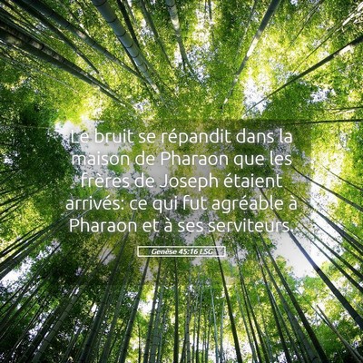 Picture 05 - Genèse 45:16 LSG - Le bruit se répandit dans la maison de Pharaon - Bible Verse Picture