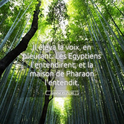 Picture 05 - Genèse 45:2 LSG - Il éleva la voix, en pleurant. Les Egyptiens - Bible Verse Picture