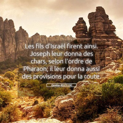 Picture 05 - Genèse 45:21 LSG - Les fils d'Israël firent ainsi. Joseph leur - Bible Verse Picture