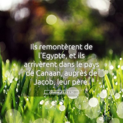 Picture 05 - Genèse 45:25 LSG - Ils remontèrent de l'Egypte, et ils arrivèrent - Bible Verse Picture