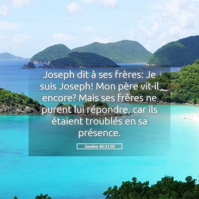 Picture 05 - Genèse 45:3 LSG - Joseph dit à ses frères: Je suis Joseph! Mon - Bible Verse Picture