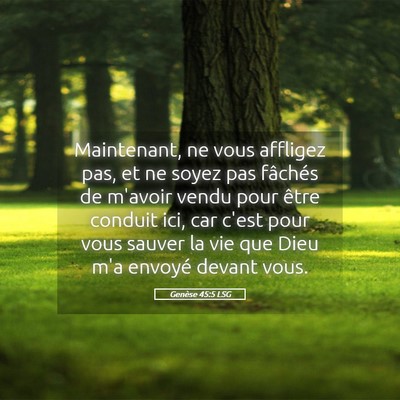 Picture 05 - Genèse 45:5 LSG - Maintenant, ne vous affligez pas, et ne soyez pas - Bible Verse Picture