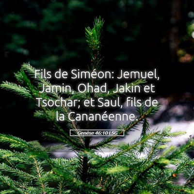 Picture 05 - Genèse 46:10 LSG - Fils de Siméon: Jemuel, Jamin, Ohad, Jakin et - Bible Verse Picture
