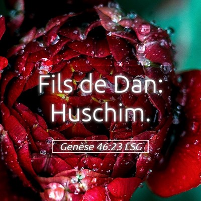 Picture 05 - Genèse 46:23 LSG - Fils de Dan: - Bible Verse Picture