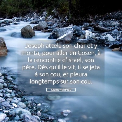 Picture 05 - Genèse 46:29 LSG - Joseph attela son char et y monta, pour aller en - Bible Verse Picture