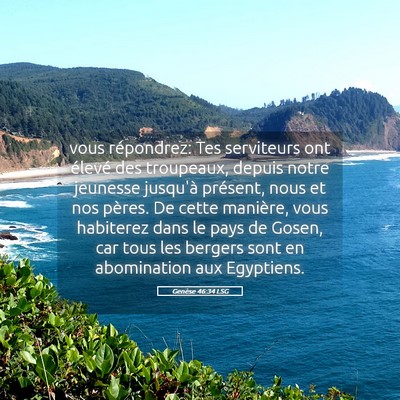 Picture 05 - Genèse 46:34 LSG - vous répondrez: Tes serviteurs ont élevé des - Bible Verse Picture