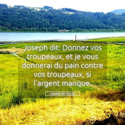 Picture 05 - Genèse 47:16 LSG - Joseph dit: Donnez vos troupeaux, et je vous - Bible Verse Picture