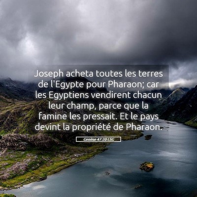 Picture 05 - Genèse 47:20 LSG - Joseph acheta toutes les terres de l'Egypte pour - Bible Verse Picture
