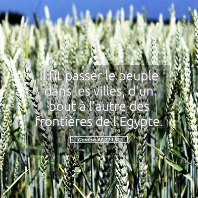 Picture 05 - Genèse 47:21 LSG - Il fit passer le peuple dans les villes, d'un - Bible Verse Picture