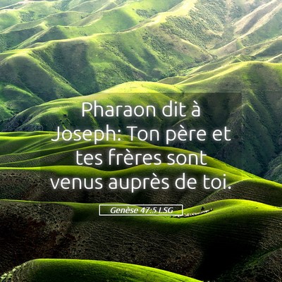 Picture 05 - Genèse 47:5 LSG - Pharaon dit à Joseph: Ton père et tes frères - Bible Verse Picture