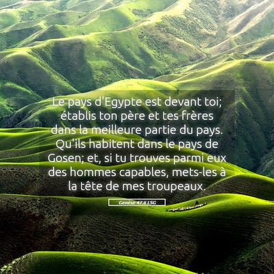 Picture 05 - Genèse 47:6 LSG - Le pays d'Egypte est devant toi; établis ton - Bible Verse Picture