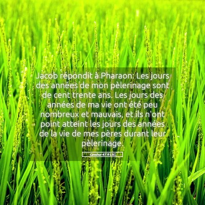 Picture 05 - Genèse 47:9 LSG - Jacob répondit à Pharaon: Les jours des années - Bible Verse Picture