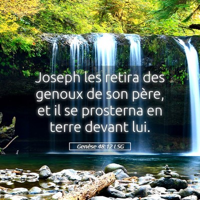Picture 05 - Genèse 48:12 LSG - Joseph les retira des genoux de son père, et il - Bible Verse Picture