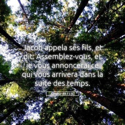Picture 05 - Genèse 49:1 LSG - Jacob appela ses fils, et dit: Assemblez-vous, et - Bible Verse Picture
