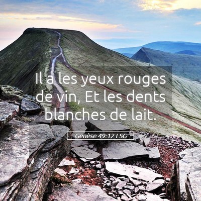 Picture 05 - Genèse 49:12 LSG - Il a les yeux rouges de vin, Et les dents - Bible Verse Picture