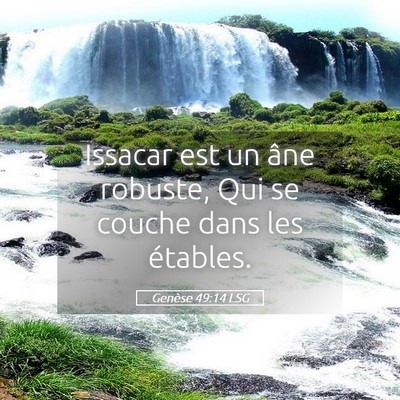 Picture 05 - Genèse 49:14 LSG - Issacar est un âne robuste, Qui se couche dans - Bible Verse Picture