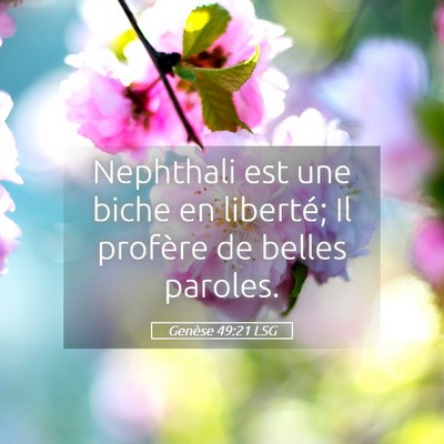 Picture 05 - Genèse 49:21 LSG - Nephthali est une biche en liberté; Il profère - Bible Verse Picture