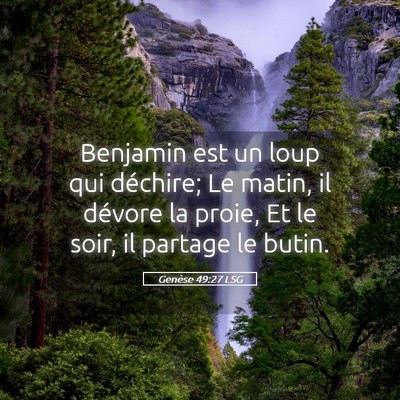 Picture 05 - Genèse 49:27 LSG - Benjamin est un loup qui déchire; Le matin, il - Bible Verse Picture