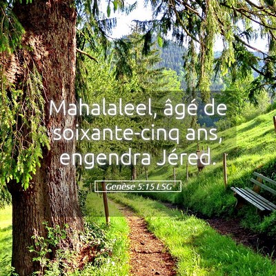 Picture 05 - Genèse 5:15 LSG - Mahalaleel, âgé de soixante-cinq ans, engendra - Bible Verse Picture