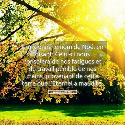 Picture 05 - Genèse 5:29 LSG - Il lui donna le nom de Noé, en disant: Celui-ci - Bible Verse Picture