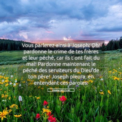 Picture 05 - Genèse 50:17 LSG - Vous parlerez ainsi à Joseph: Oh! pardonne le - Bible Verse Picture