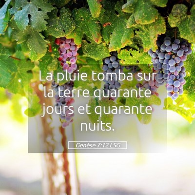 Picture 05 - Genèse 7:12 LSG - La pluie tomba sur la terre quarante jours et - Bible Verse Picture
