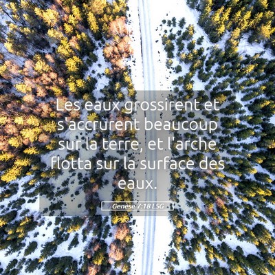 Picture 05 - Genèse 7:18 LSG - Les eaux grossirent et s'accrurent beaucoup sur - Bible Verse Picture